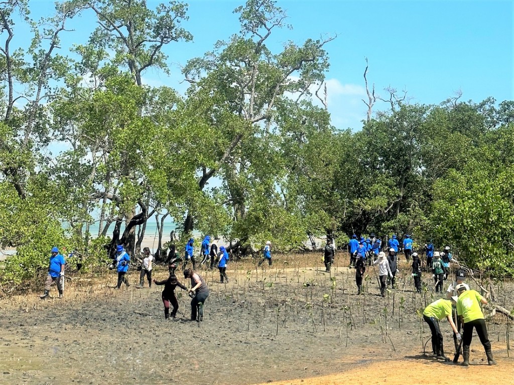 UMW Green Shoots Initiative_Tree Planting_Mangrove_Malaysia