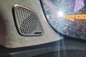 Chery O5_Sony Sound System_Speaker